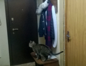 Комната недорого 13,5 м² — прямая продажа без комиссии! - Жилая недвижимость, Продажа комнат Санкт-Петербург